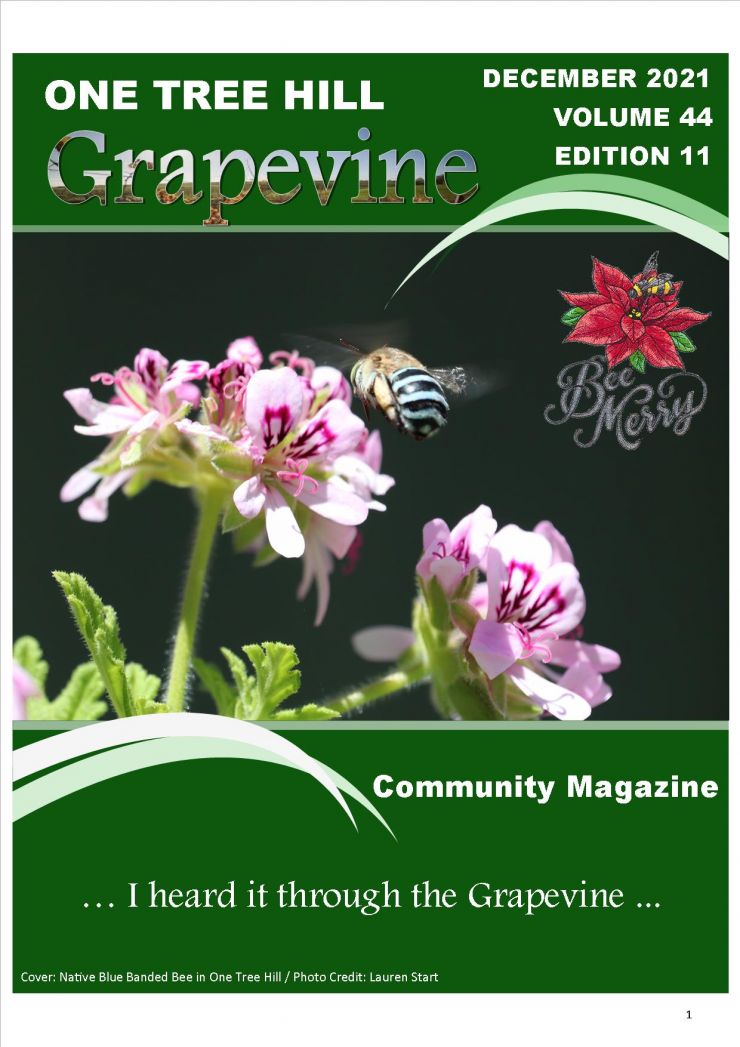 OTH Grapevine_Dec2021_cover.jpg