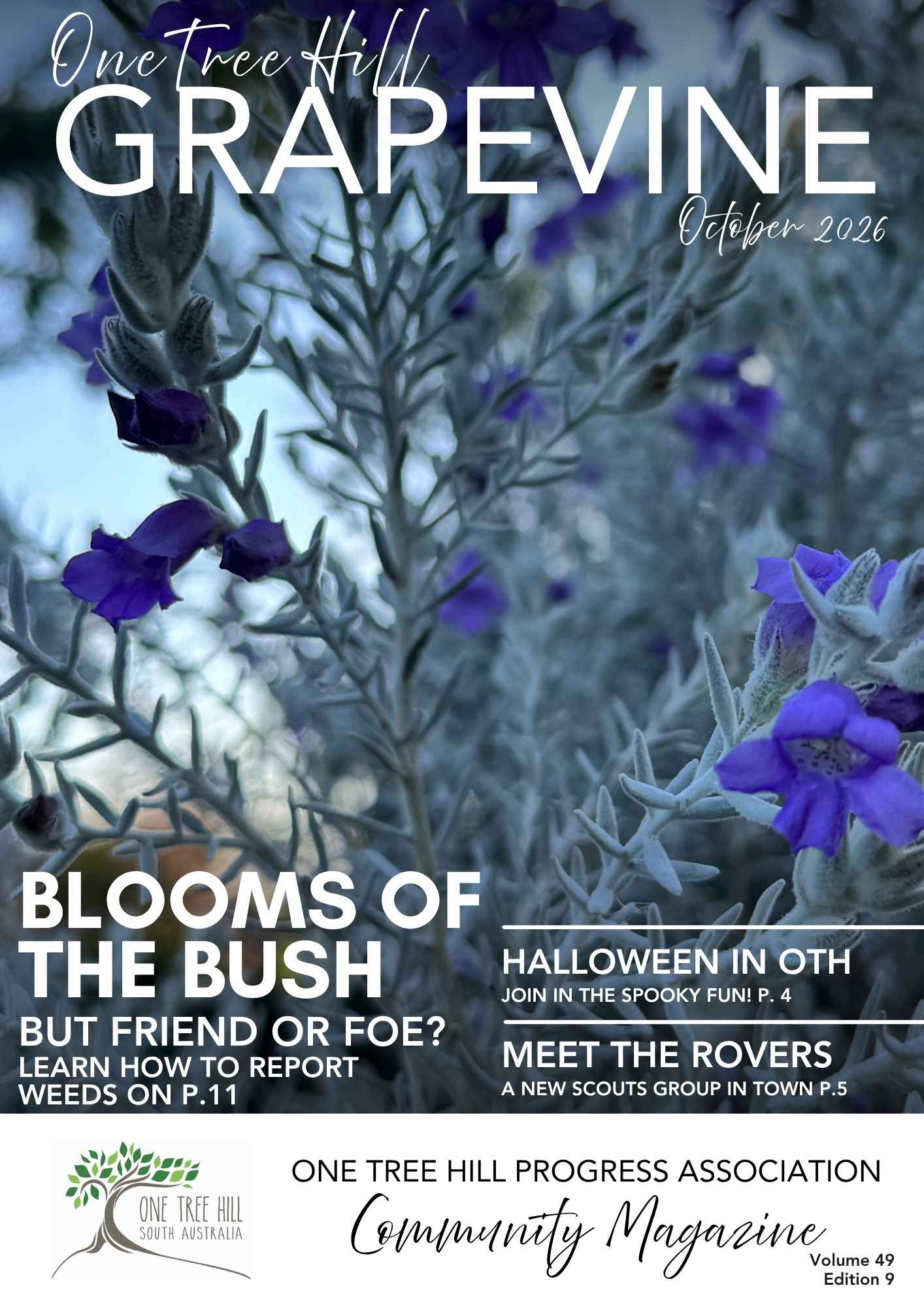 OTH Grapevine Cover - Oct 26.jpg
