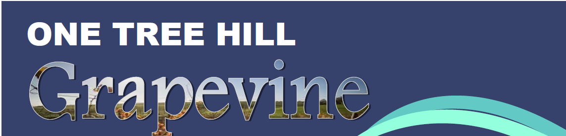 Grapevine Header_Aug19.png